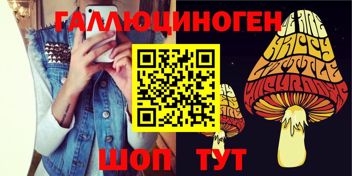 Псилоцибиновые грибы Psilocybe  Вход с VPN  Сосновый Бор 